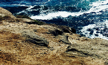 cape_kiwanda