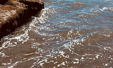 cape_kiwanda